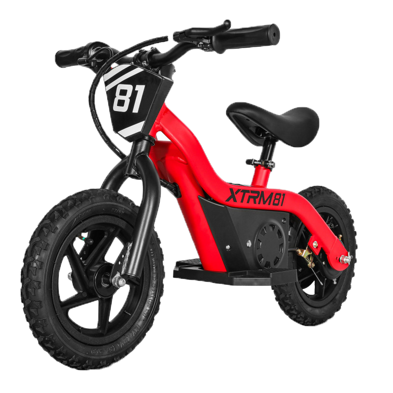 DX Elettrica 12”